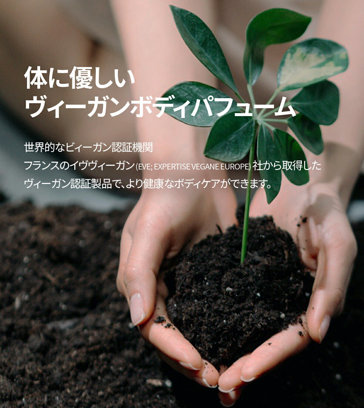 DUFT&DOFT ダフトアンドドフト シグネチャー パヒューム ボディミスト Sophy Soapy ソフィーソーピー 80ml 石鹸の香り 韓国コスメ 化粧品 コスメ【国内発送】