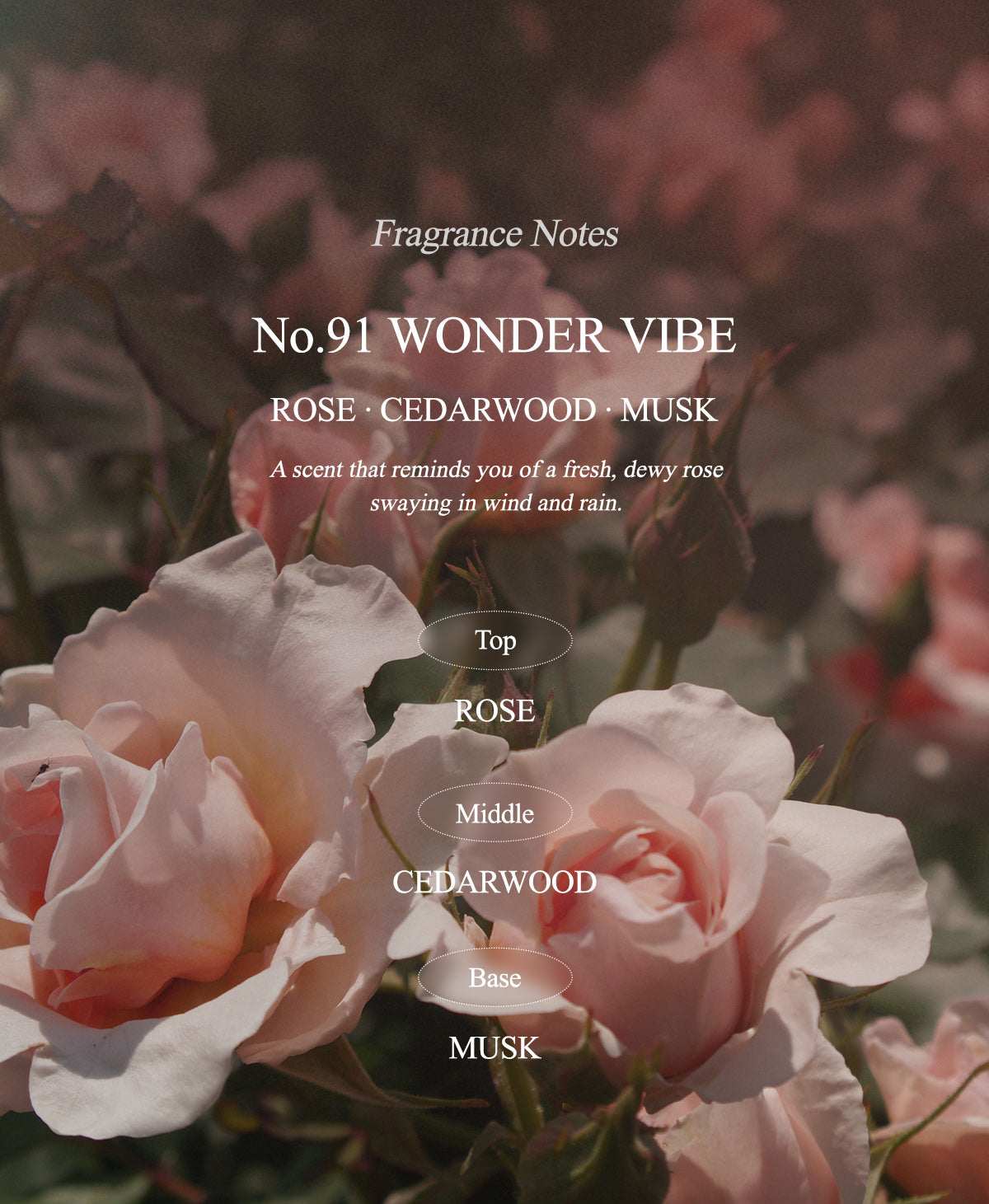 【 TYPE No 】 No.91 WONDER VIBE ボディミスト 50ml タイプナンバー ワンダーバイブ 【国内発送】【送料無料】